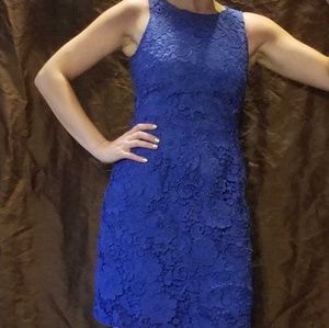 NWT J. Crew Dress Royal Blue Sz 0